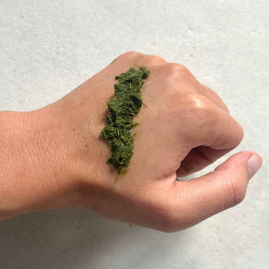 Moringa Powder 100g